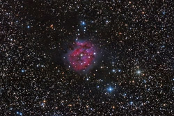 IC 5146