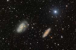 Leo triplet