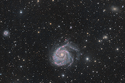 M101