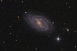 M109