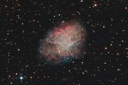 M1