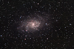 M33