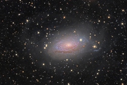 M63