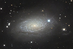 M63