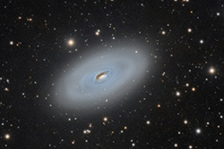 M64