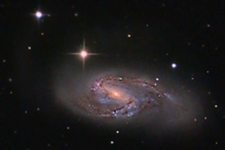 M66