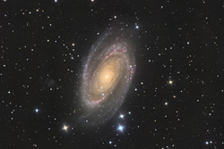 M81