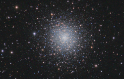 M13