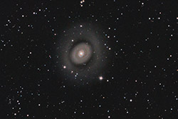 M94