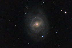 M95