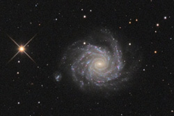 NGC 1232