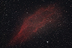 Californianebel