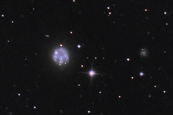 NGC2537