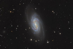 NGC 2903