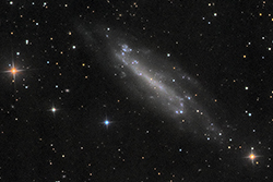 NGC 4236