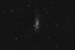 NGC 4559