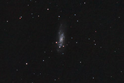 NGC 4559