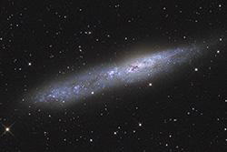 NGC 55