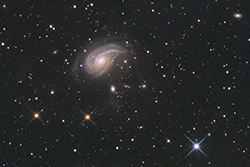 NGC772