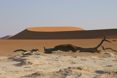 Dead Vlei